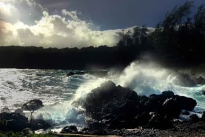 Maui : Visite privée à mi-chemin de Hana