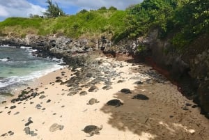 Maui : Visite privée à mi-chemin de Hana