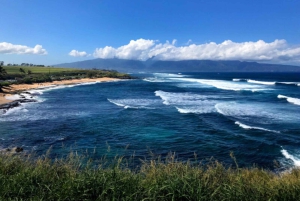 Maui: Tour privato di Halfway to Hana
