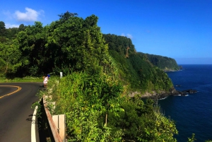 Maui: Tour privato di Halfway to Hana