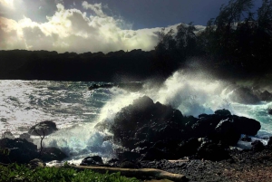 Maui: Tour privato di Halfway to Hana