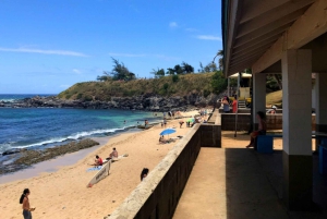 Maui: Tour privato di Halfway to Hana