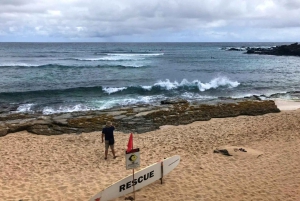 Maui: Tour privato di Halfway to Hana