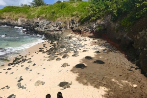 Maui: Tour privato di Halfway to Hana