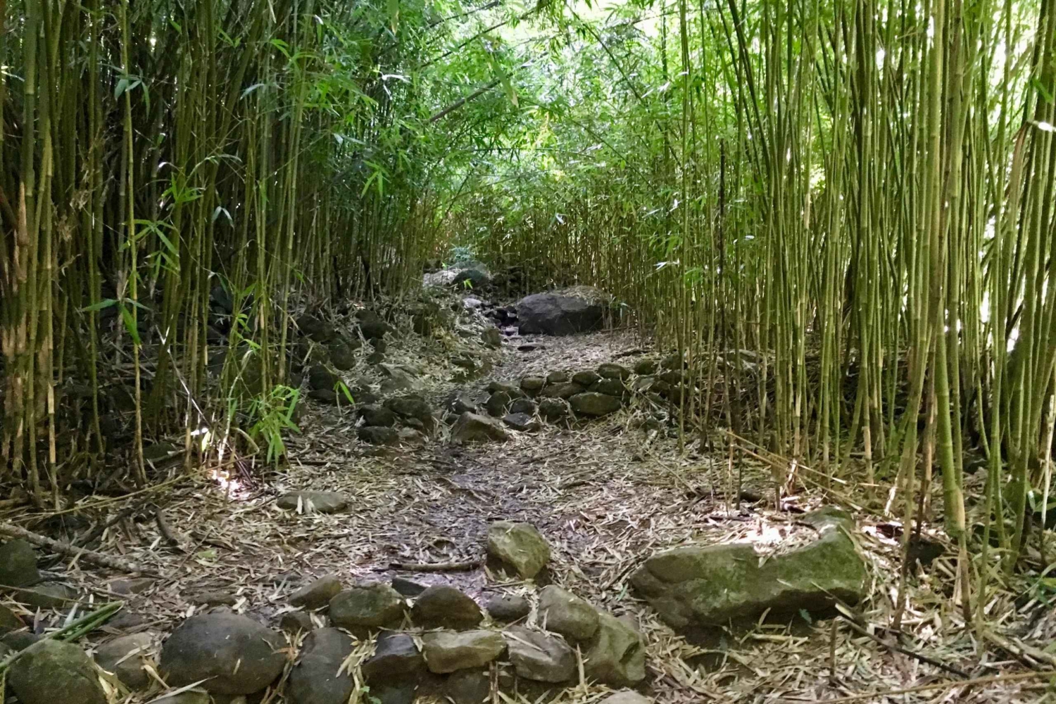 Maui: Private Jungle and Waterfalls Hiking Adventure