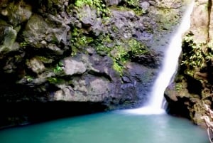 Maui: Avventura privata nella giungla e nelle cascate