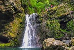 Maui: Prywatna wycieczka piesza do dżungli i wodospadów
