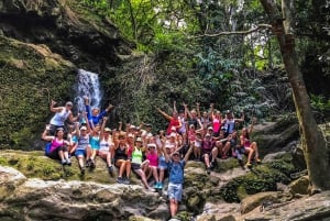 Maui: Privates Dschungel- und Wasserfall-Wanderabenteuer