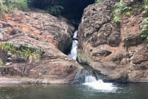 Maui: Yksityinen viidakko ja vesiputoukset vaellus seikkailu
