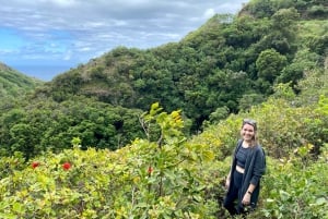 Maui: Privates Dschungel- und Wasserfall-Wanderabenteuer