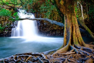 Maui: Private Luxury Halfway to Hana