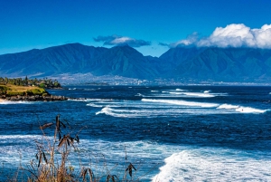 Maui: Private Luxury Halfway to Hana