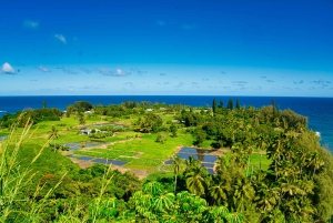 Maui: Private Luxury Halfway to Hana