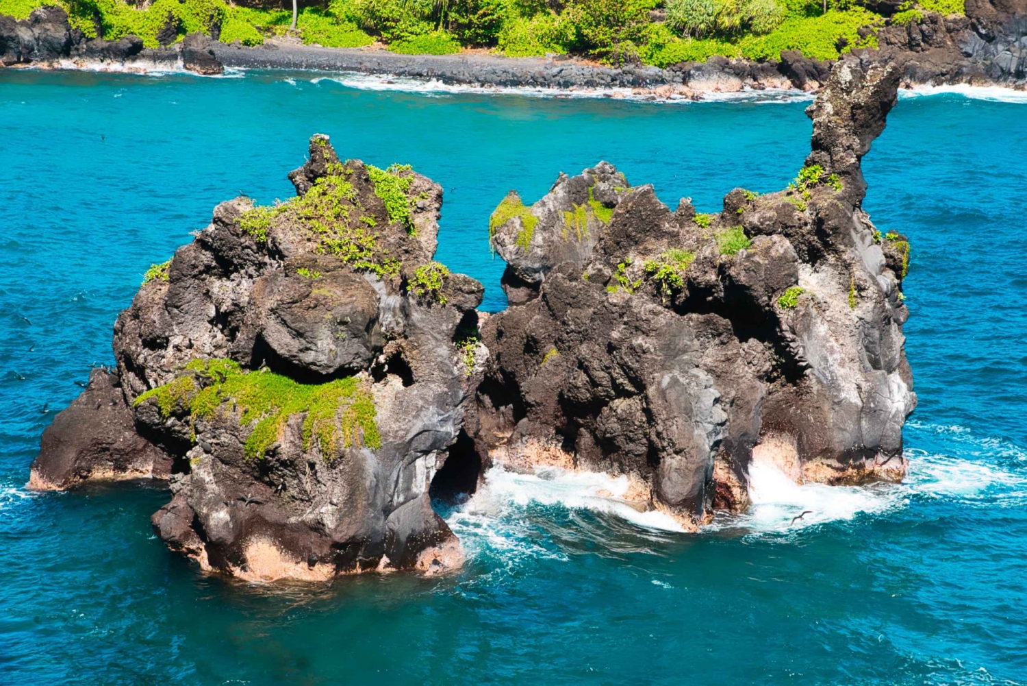 Maui: Private Luxury Road to Hana with Included Meals