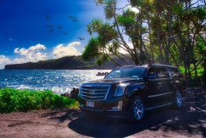 Maui: Private Luxury Road to Hana with Included Meals