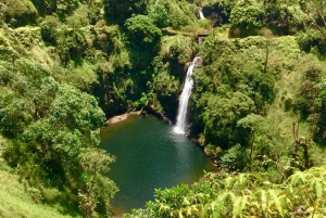 South Maui: Private Rainforest or Road to Hana Loop Tour