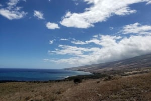 Z Maui: Prywatna 1-dniowa wycieczka Road to Hana