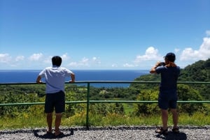 Depuis Maui : Excursion d'une journée sur la route privée de Hana