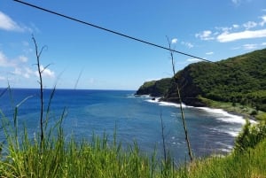 Fra Maui: Privat dagstur på veien til Hana