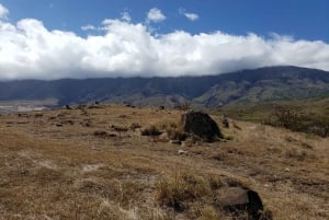 Desde Maui: Excursión privada de un día por la carretera de Hana