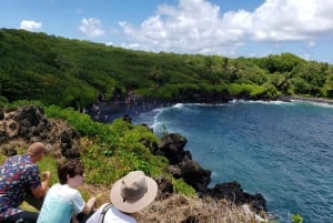 Fra Maui: Privat dagstur på veien til Hana