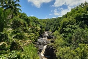 Z Maui: Prywatna 1-dniowa wycieczka Road to Hana