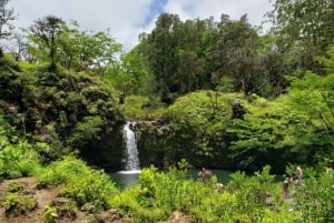 From Maui: Private Road to Hana Day Trip