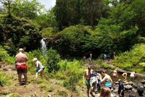 Mauilta: Maui: Private Road to Hana Day Trip
