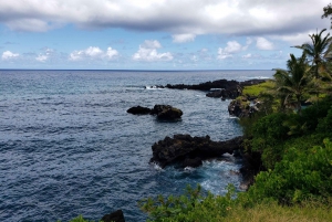 Maui: Private Road to Hana Day Trip - Just for your family