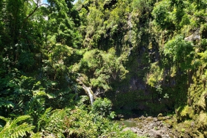 Maui: Private Road to Hana Day Trip - Just for your family