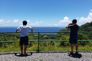 Maui: Privat: Dagstur til Hana: Bare for din gruppe