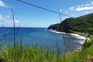 Maui: Privat: Dagstur til Hana: Bare for din gruppe