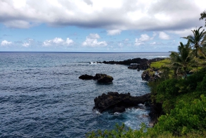 Maui: Privat: Dagstur til Hana: Bare for din gruppe