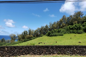 Maui: Privat: Dagstur til Hana: Bare for din gruppe