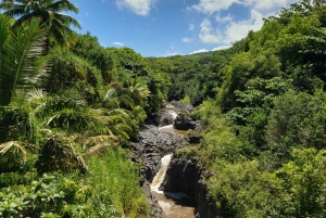 Maui: Privat: Dagstur til Hana: Bare for din gruppe