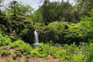 Maui: Privat: Dagstur til Hana: Bare for din gruppe