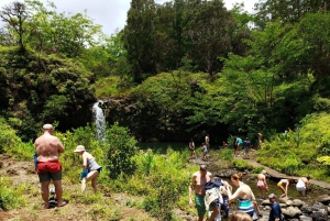 Maui: Privat: Dagstur til Hana: Bare for din gruppe