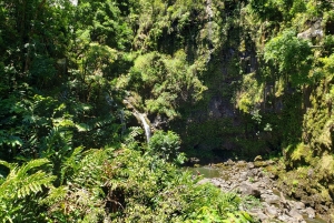 Maui: Privat: Dagstur til Hana: Bare for din gruppe