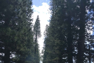 Maui: Privat: Dagstur til Hana: Bare for din gruppe