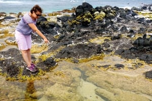 Maui: Privat vei til Hana Full Loop guidet tur