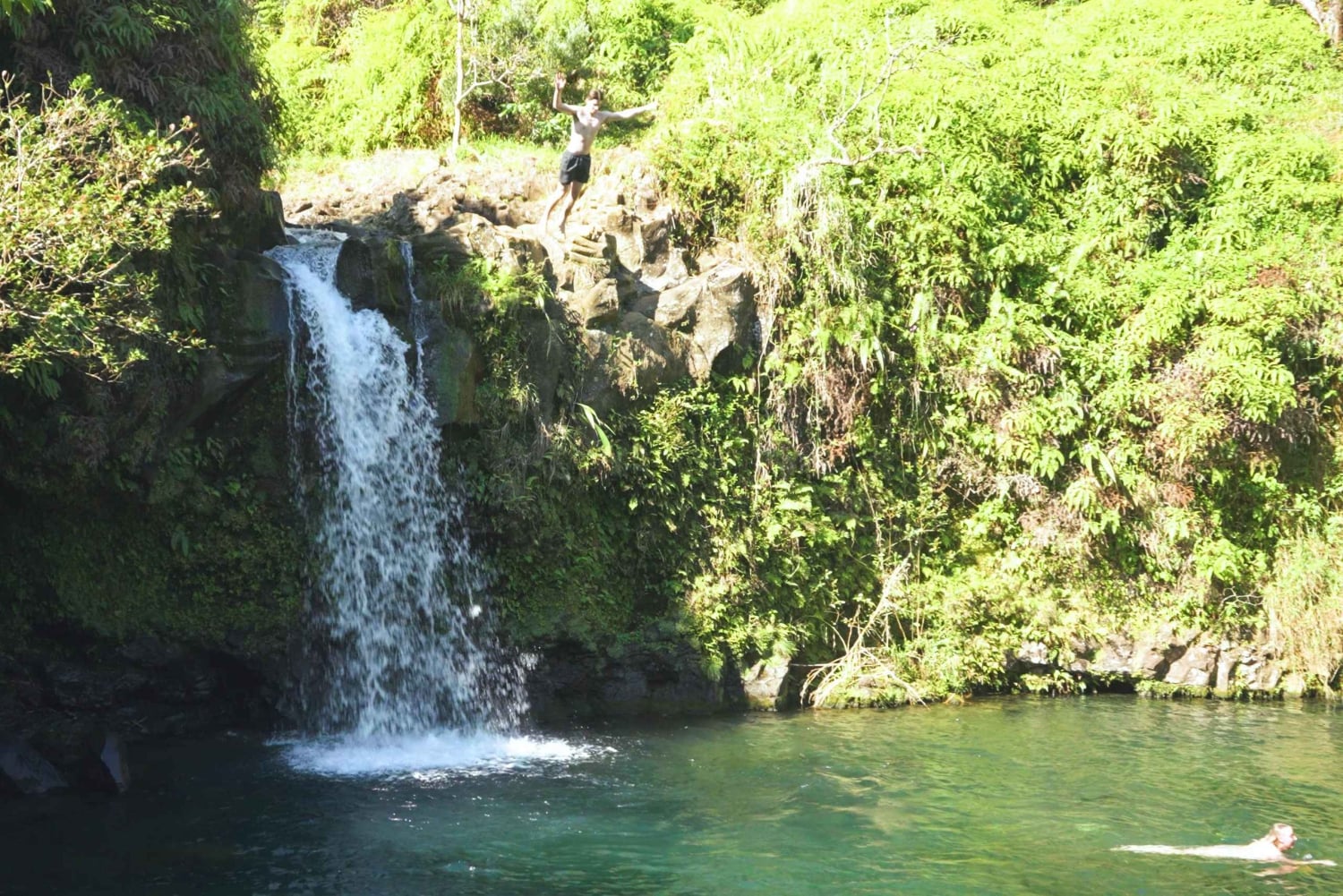 Maui: Private Road to Hana Rainforest and Waterfall Tour