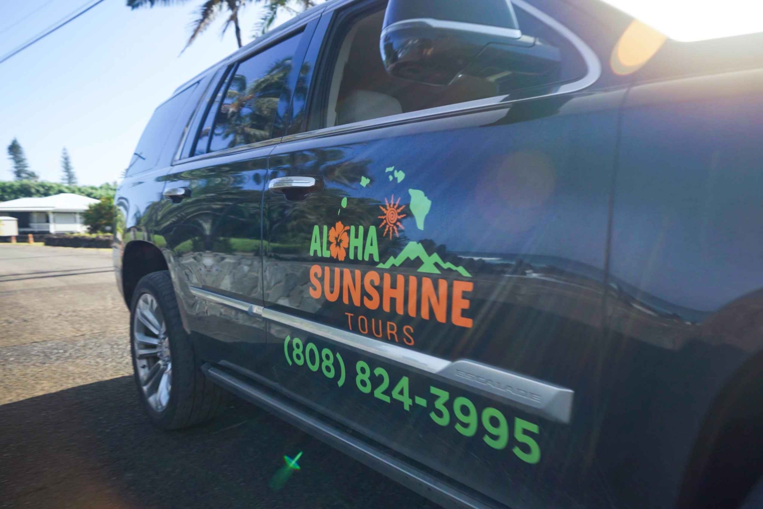 Maui: Private Road to Hana Rainforest and Waterfall Tour