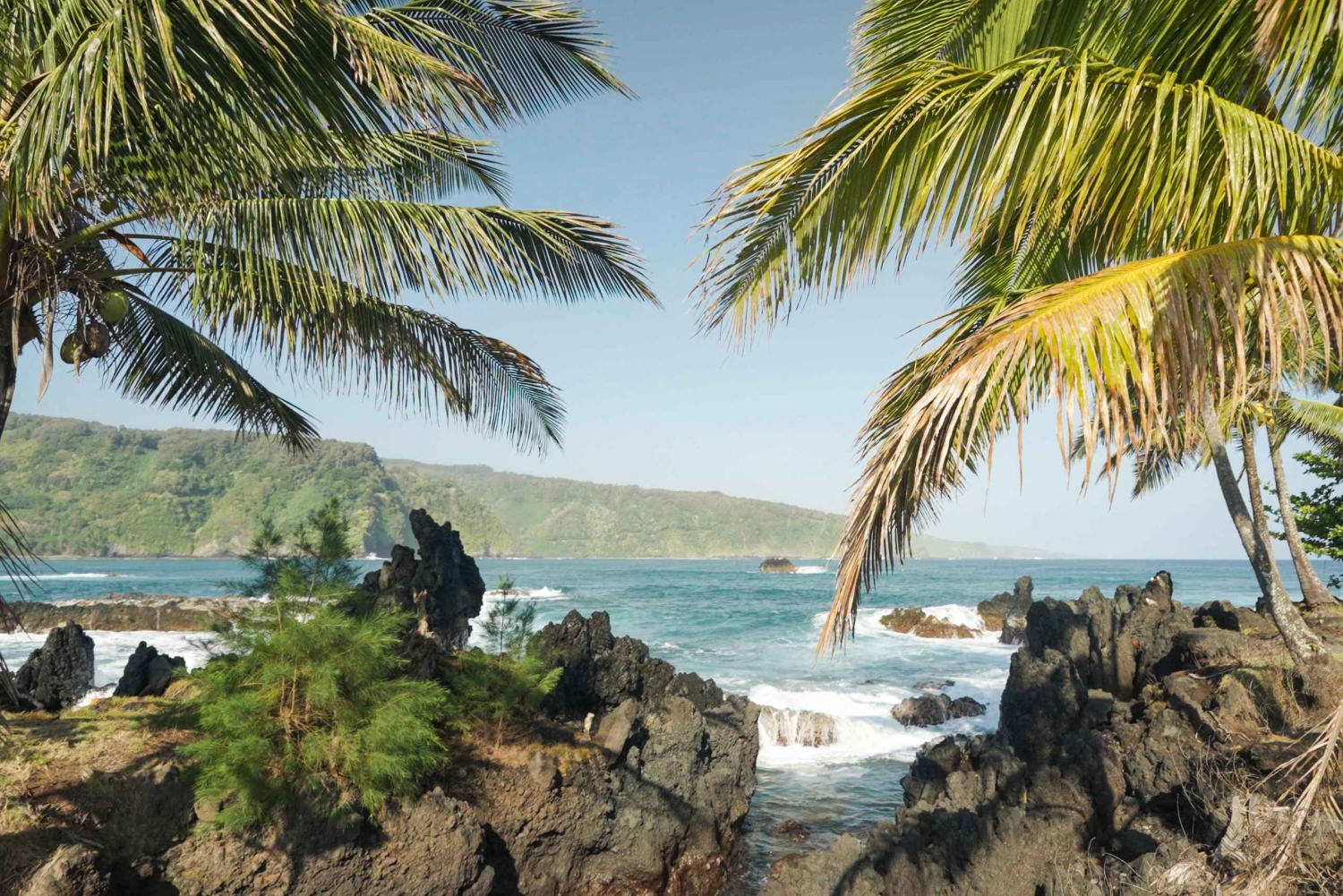 Maui: Private Road to Hana Rainforest and Waterfall Tour