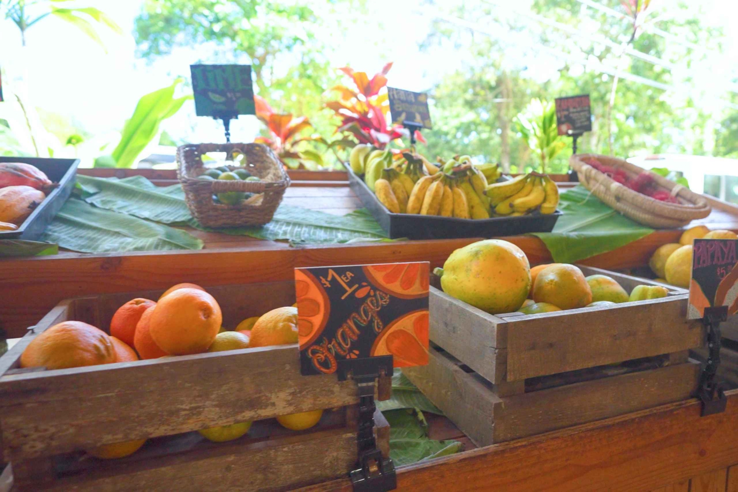 Maui: Private Road to Hana Rainforest and Waterfall Tour