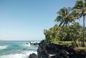 Maui: Privat tur till regnskogen och vattenfallen på Road to Hana