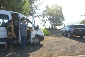 Maui: Privat tur till regnskogen och vattenfallen på Road to Hana