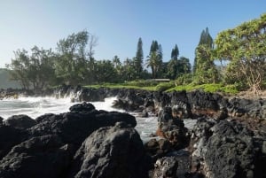 Maui: Privat tur till regnskogen och vattenfallen på Road to Hana