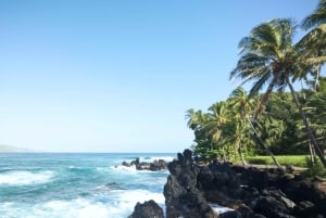 Maui: Privat tur till regnskogen och vattenfallen på Road to Hana