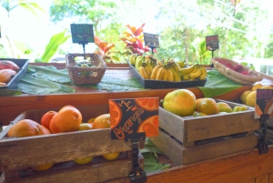 Maui: Private Road to Hana Rainforest and Waterfall Tour