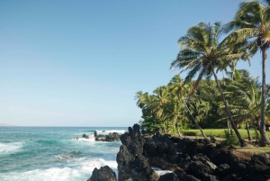 Maui: Private Road to Hana Rainforest and Waterfall Tour